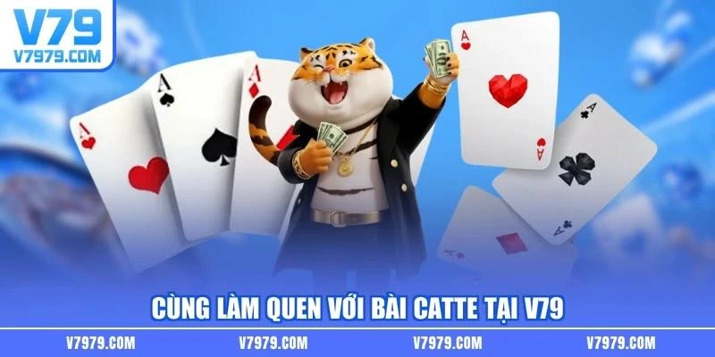 Cùng làm quen với bài Catte tại V79