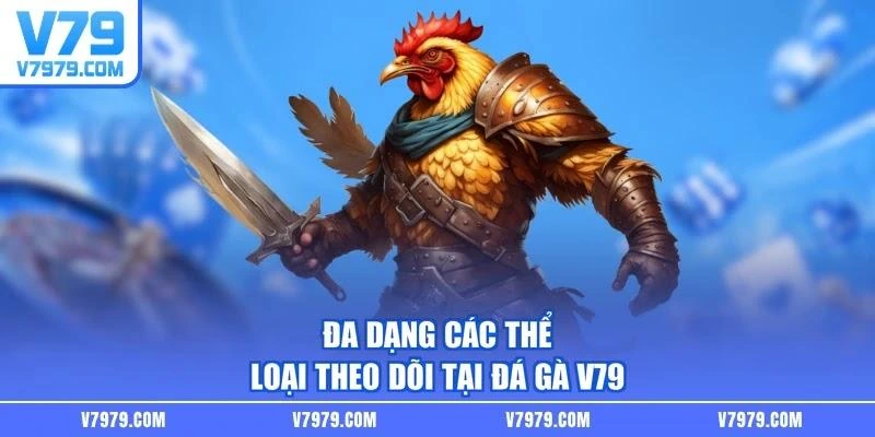 Đa dạng các thể loại theo dõi tại đá gà V79