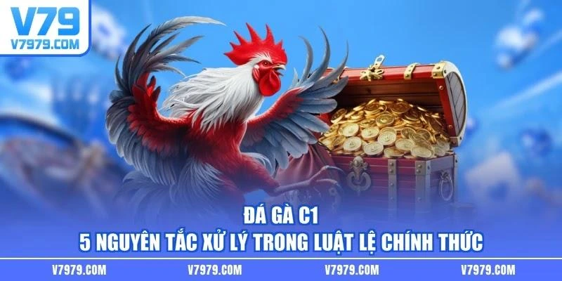 Đá Gà C1 - 5 Nguyên Tắc Xử Lý Trong Luật Lệ Chính Thức