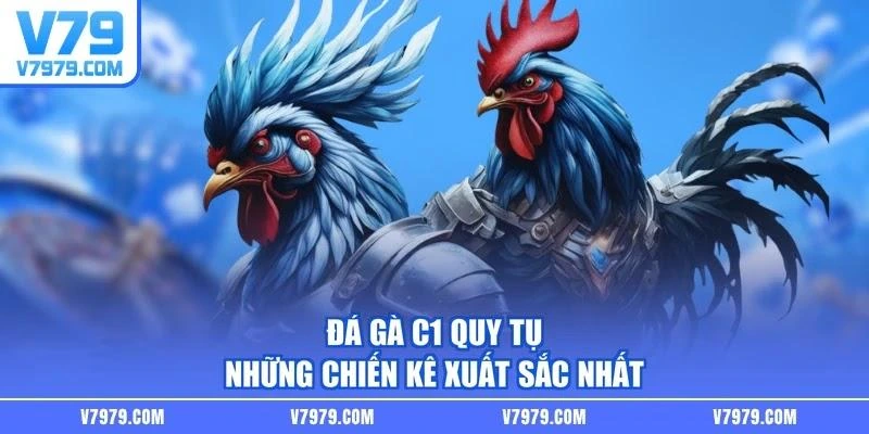 Đá gà C1 quy tụ những chiến kê xuất sắc nhất