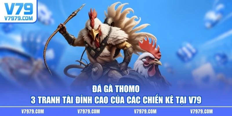 Đá Gà Thomo - 3 Tranh Tài Đỉnh Cao Của Các Chiến Kê Tại V79