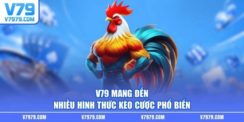 V79 mang đến nhiều hình thức kèo cược phổ biến